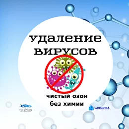 Озон удаленная. Реклама озонирования. Озонация салона автомобиля против вирусов. Этикетка озонирования. Озонация внимание.