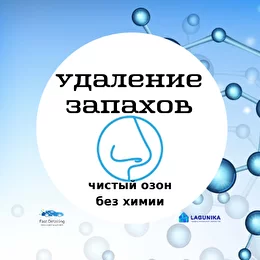 Удали озон. Озон удаление. Виды запахов в химии. Озон убирает все запахи. Силуэт озонация.